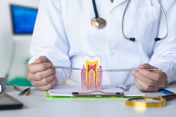 Best Emergency Dental Extractions in Cabool, MO